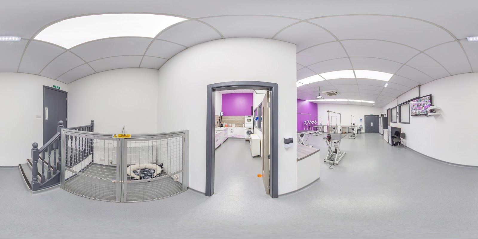 The full width of the Anrich Dog Grooming School interior, staircase and grooming room doorway